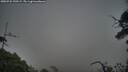 ./images/calvert/fitz-hugh-hecate/20250722/fitz-hugh-hecate20250722_190508M.jpg
