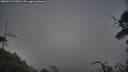 ./images/calvert/fitz-hugh-hecate/20250722/fitz-hugh-hecate20250722_191008M.jpg
