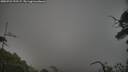 ./images/calvert/fitz-hugh-hecate/20250722/fitz-hugh-hecate20250722_192507M.jpg