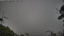 ./images/calvert/fitz-hugh-hecate/20250722/fitz-hugh-hecate20250722_193009M.jpg