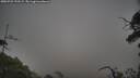 ./images/calvert/fitz-hugh-hecate/20250722/fitz-hugh-hecate20250722_193509M.jpg