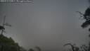 ./images/calvert/fitz-hugh-hecate/20250722/fitz-hugh-hecate20250722_194009M.jpg