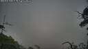 ./images/calvert/fitz-hugh-hecate/20250722/fitz-hugh-hecate20250722_195509M.jpg