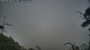 ./images/calvert/fitz-hugh-hecate/20250722/fitz-hugh-hecate20250722_200508M.jpg
