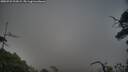 ./images/calvert/fitz-hugh-hecate/20250722/fitz-hugh-hecate20250722_202009M.jpg