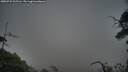 ./images/calvert/fitz-hugh-hecate/20250722/fitz-hugh-hecate20250722_202506M.jpg
