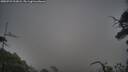 ./images/calvert/fitz-hugh-hecate/20250722/fitz-hugh-hecate20250722_203007M.jpg