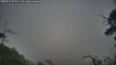 ./images/calvert/fitz-hugh-hecate/20250722/fitz-hugh-hecate20250722_203509M.jpg