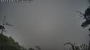 ./images/calvert/fitz-hugh-hecate/20250722/fitz-hugh-hecate20250722_204009M.jpg