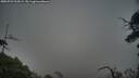 ./images/calvert/fitz-hugh-hecate/20250722/fitz-hugh-hecate20250722_204509M.jpg