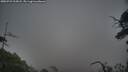 ./images/calvert/fitz-hugh-hecate/20250722/fitz-hugh-hecate20250722_205007M.jpg