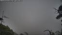 ./images/calvert/fitz-hugh-hecate/20250722/fitz-hugh-hecate20250722_205509M.jpg