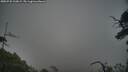 ./images/calvert/fitz-hugh-hecate/20250722/fitz-hugh-hecate20250722_210009M.jpg