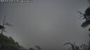 ./images/calvert/fitz-hugh-hecate/20250722/fitz-hugh-hecate20250722_210508M.jpg