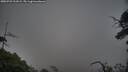 ./images/calvert/fitz-hugh-hecate/20250722/fitz-hugh-hecate20250722_211008M.jpg