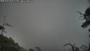 ./images/calvert/fitz-hugh-hecate/20250722/fitz-hugh-hecate20250722_211508M.jpg