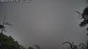 ./images/calvert/fitz-hugh-hecate/20250722/fitz-hugh-hecate20250722_212508M.jpg