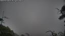 ./images/calvert/fitz-hugh-hecate/20250722/fitz-hugh-hecate20250722_213009M.jpg