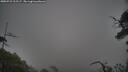 ./images/calvert/fitz-hugh-hecate/20250722/fitz-hugh-hecate20250722_213507M.jpg
