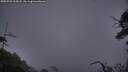 ./images/calvert/fitz-hugh-hecate/20250722/fitz-hugh-hecate20250722_215007M.jpg