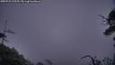 ./images/calvert/fitz-hugh-hecate/20250722/fitz-hugh-hecate20250722_215509M.jpg