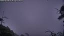 ./images/calvert/fitz-hugh-hecate/20250722/fitz-hugh-hecate20250722_220009M.jpg