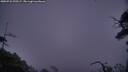 ./images/calvert/fitz-hugh-hecate/20250722/fitz-hugh-hecate20250722_220507M.jpg