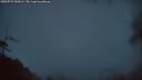 ./images/calvert/fitz-hugh-hecate/20250723/fitz-hugh-hecate20250723_050009M.jpg