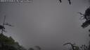 ./images/calvert/fitz-hugh-hecate/20250723/fitz-hugh-hecate20250723_053008M.jpg