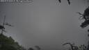 ./images/calvert/fitz-hugh-hecate/20250723/fitz-hugh-hecate20250723_053508M.jpg