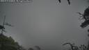 ./images/calvert/fitz-hugh-hecate/20250723/fitz-hugh-hecate20250723_054009M.jpg