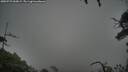 ./images/calvert/fitz-hugh-hecate/20250723/fitz-hugh-hecate20250723_060009M.jpg