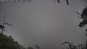./images/calvert/fitz-hugh-hecate/20250723/fitz-hugh-hecate20250723_060510M.jpg