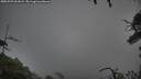 ./images/calvert/fitz-hugh-hecate/20250723/fitz-hugh-hecate20250723_061009M.jpg
