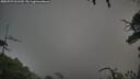 ./images/calvert/fitz-hugh-hecate/20250723/fitz-hugh-hecate20250723_061510M.jpg