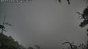 ./images/calvert/fitz-hugh-hecate/20250723/fitz-hugh-hecate20250723_062010M.jpg