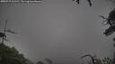 ./images/calvert/fitz-hugh-hecate/20250723/fitz-hugh-hecate20250723_062511M.jpg