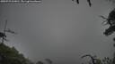 ./images/calvert/fitz-hugh-hecate/20250723/fitz-hugh-hecate20250723_063010M.jpg