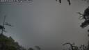 ./images/calvert/fitz-hugh-hecate/20250723/fitz-hugh-hecate20250723_063509M.jpg