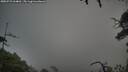 ./images/calvert/fitz-hugh-hecate/20250723/fitz-hugh-hecate20250723_064010M.jpg