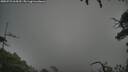 ./images/calvert/fitz-hugh-hecate/20250723/fitz-hugh-hecate20250723_064510M.jpg