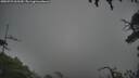 ./images/calvert/fitz-hugh-hecate/20250723/fitz-hugh-hecate20250723_065510M.jpg