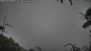 ./images/calvert/fitz-hugh-hecate/20250723/fitz-hugh-hecate20250723_070009M.jpg
