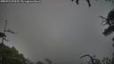 ./images/calvert/fitz-hugh-hecate/20250723/fitz-hugh-hecate20250723_070509M.jpg