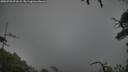 ./images/calvert/fitz-hugh-hecate/20250723/fitz-hugh-hecate20250723_071009M.jpg