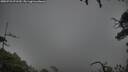 ./images/calvert/fitz-hugh-hecate/20250723/fitz-hugh-hecate20250723_071510M.jpg