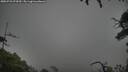 ./images/calvert/fitz-hugh-hecate/20250723/fitz-hugh-hecate20250723_072010M.jpg