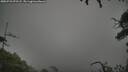 ./images/calvert/fitz-hugh-hecate/20250723/fitz-hugh-hecate20250723_072508M.jpg