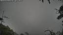 ./images/calvert/fitz-hugh-hecate/20250723/fitz-hugh-hecate20250723_073510M.jpg