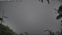 ./images/calvert/fitz-hugh-hecate/20250723/fitz-hugh-hecate20250723_074010M.jpg